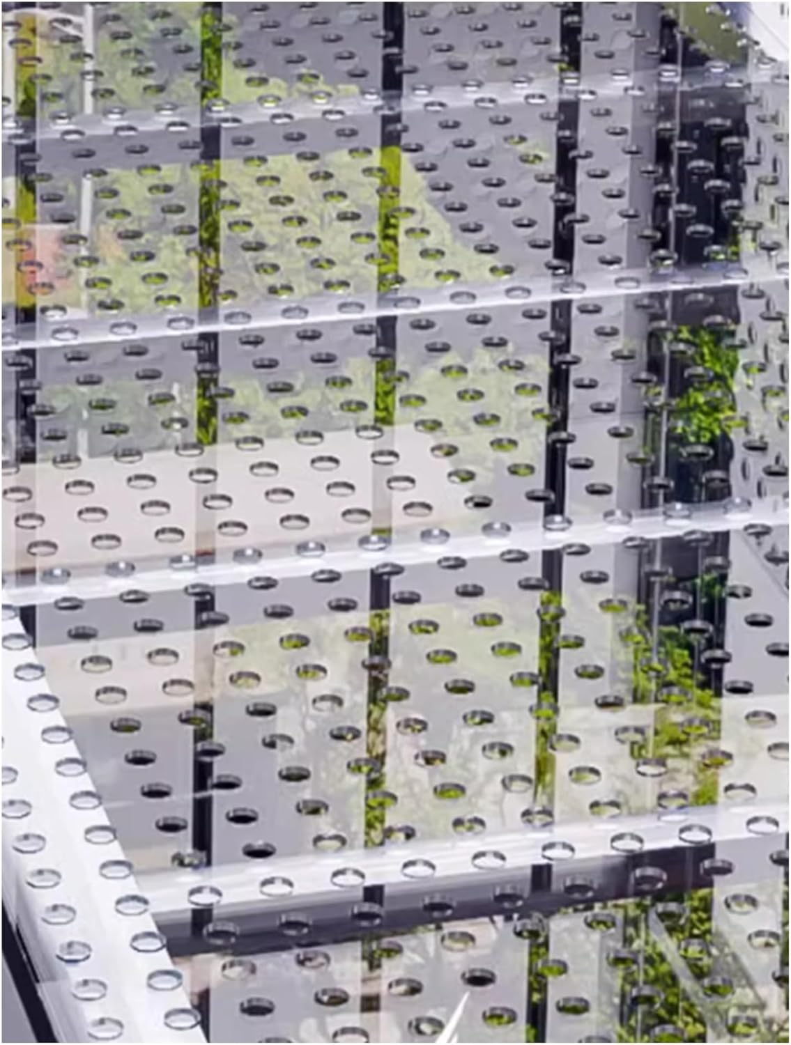 MOUNTAIN MARTIAL ARTS マウンテンマーシャルアーツ MMA18-77 MMA